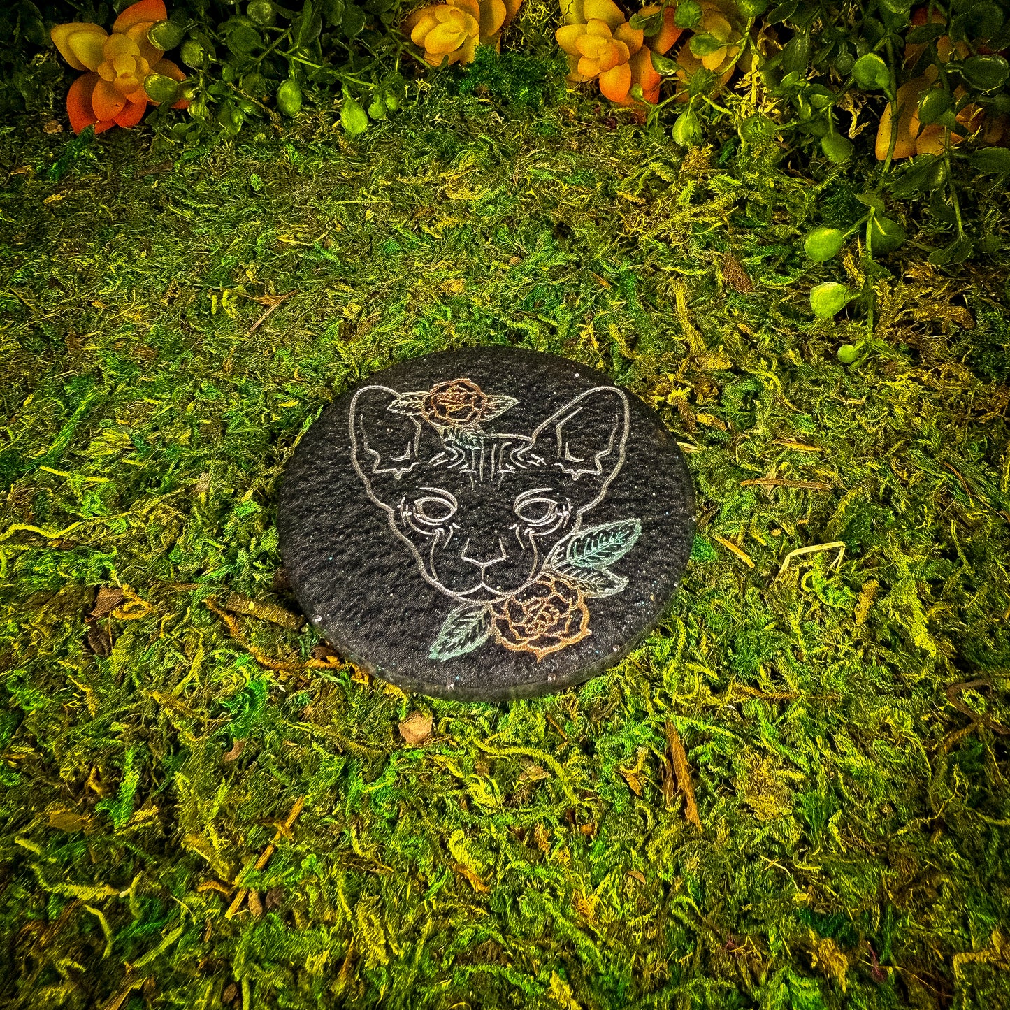 Alter Coaster