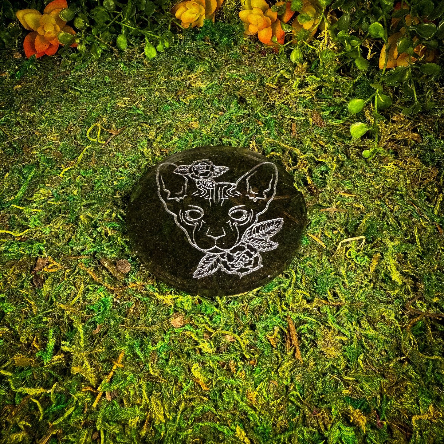 Alter Coaster