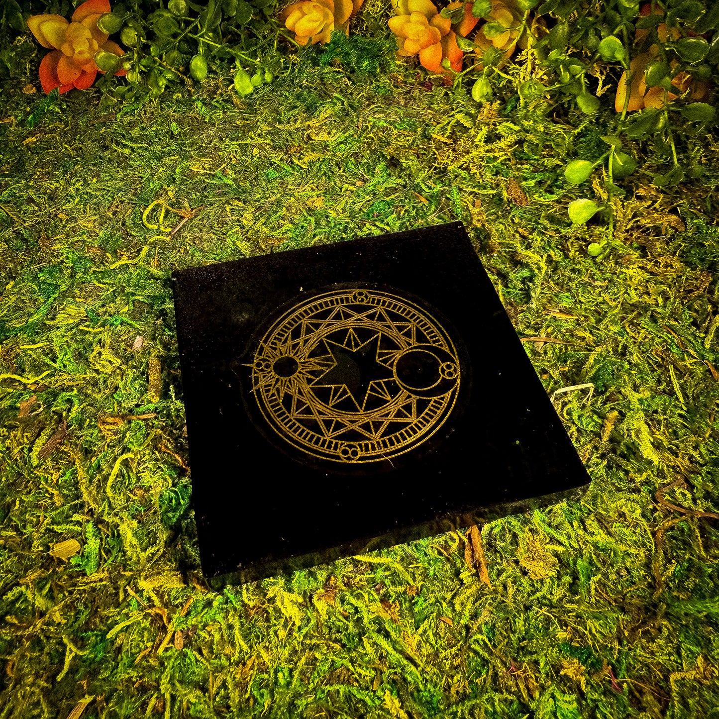 Alter Coaster