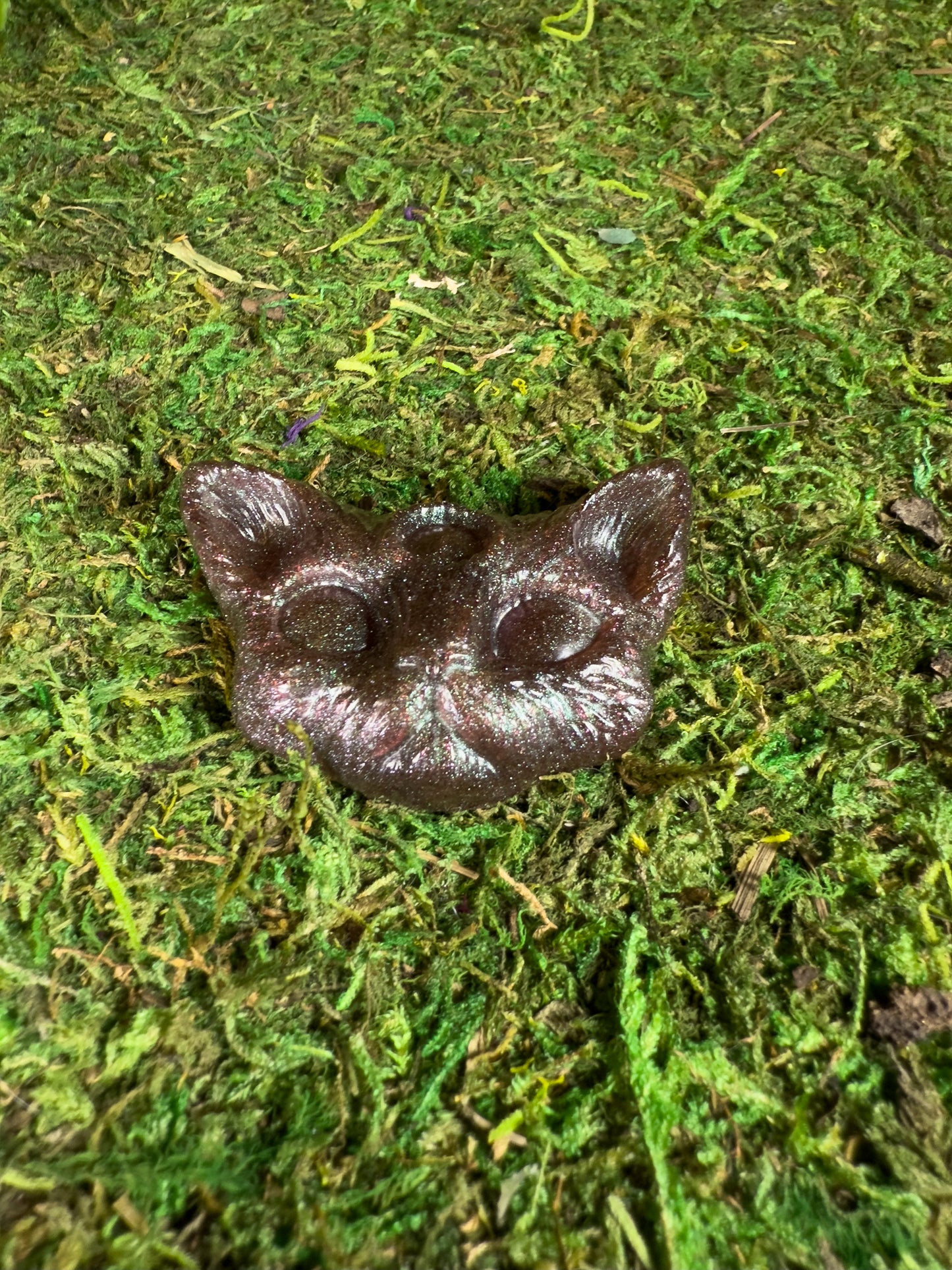 Cat Familiars