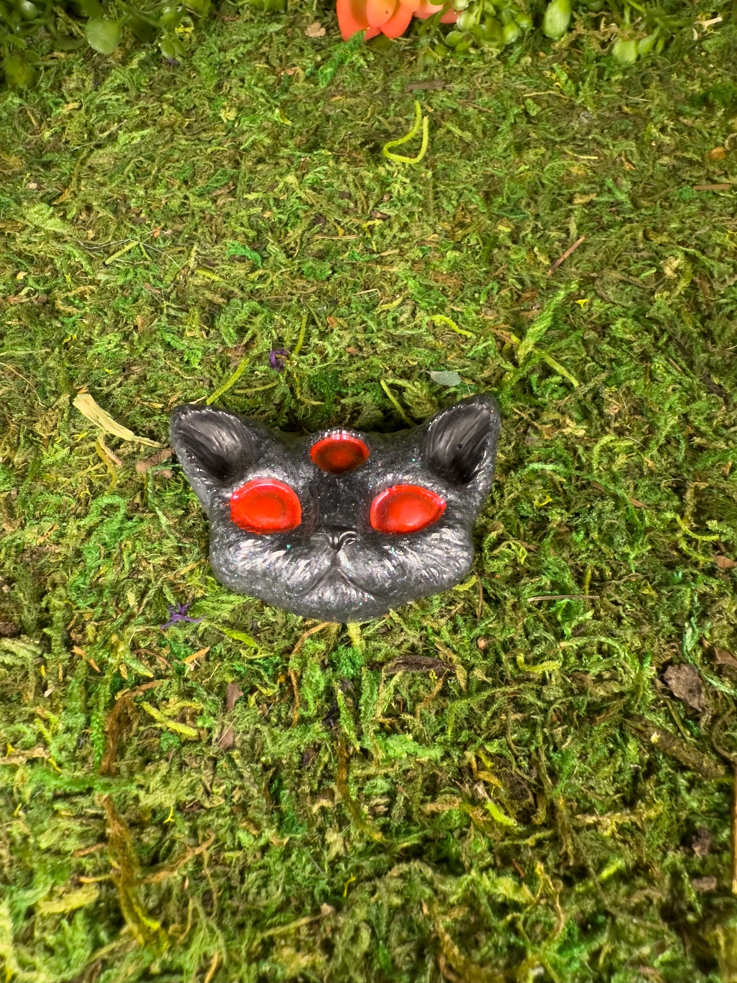 Cat Familiars