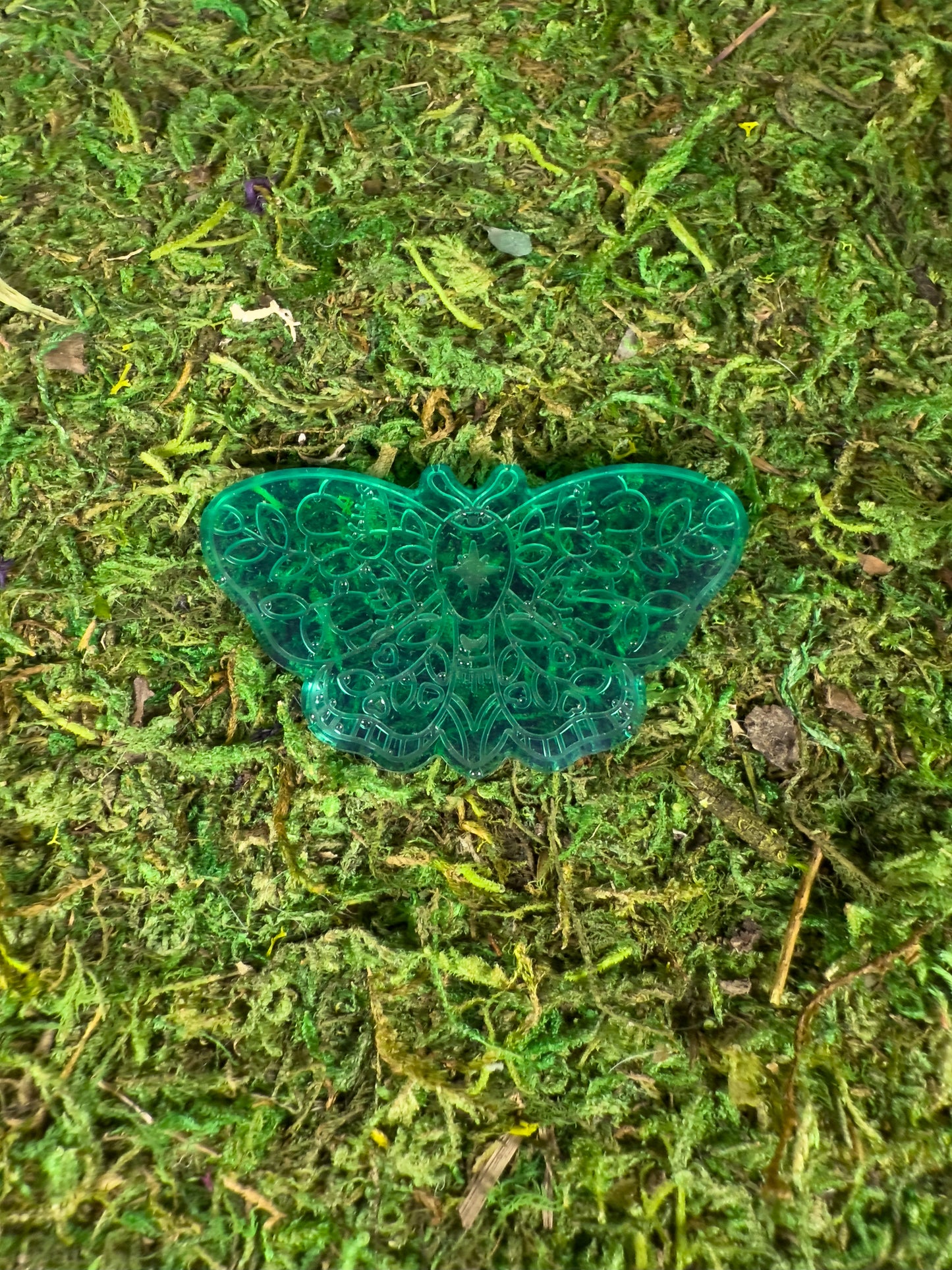 Moth Familaiars