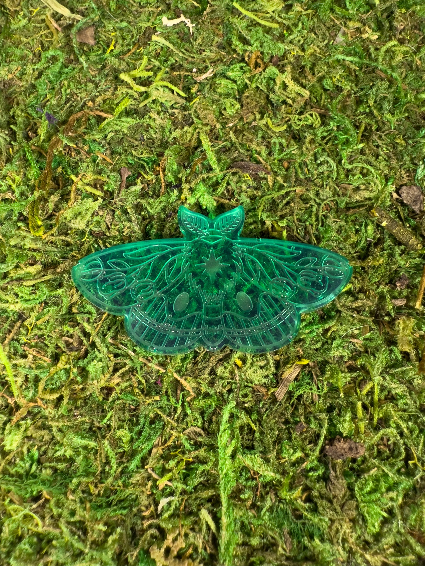 Moth Familaiars