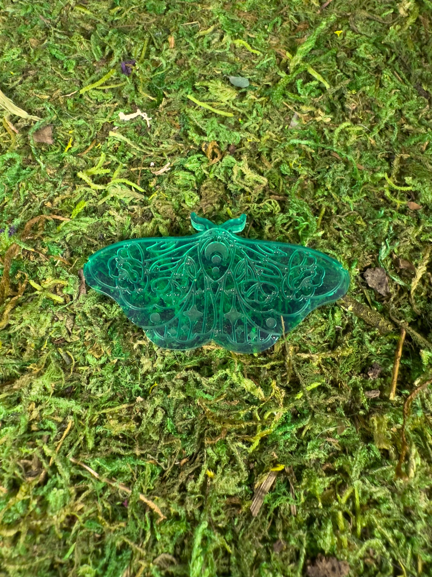 Moth Familaiars