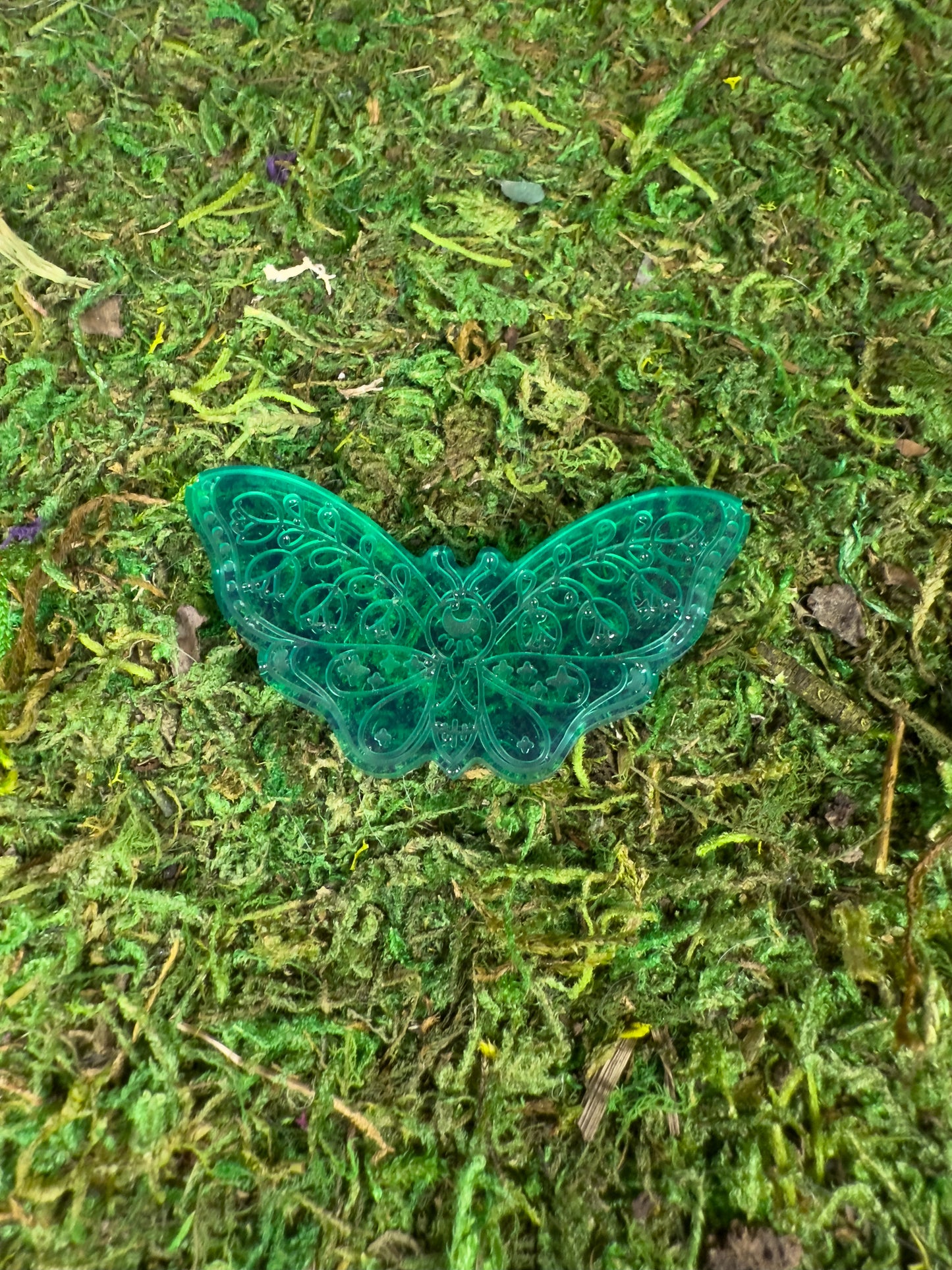 Moth Familaiars