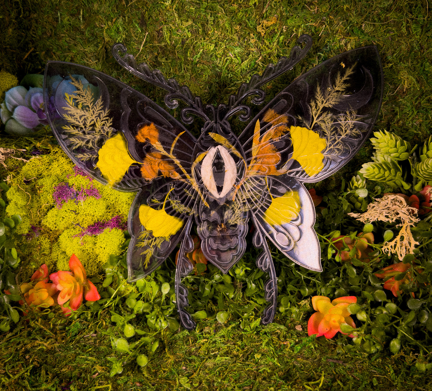 Moth & Teeth Art Piece