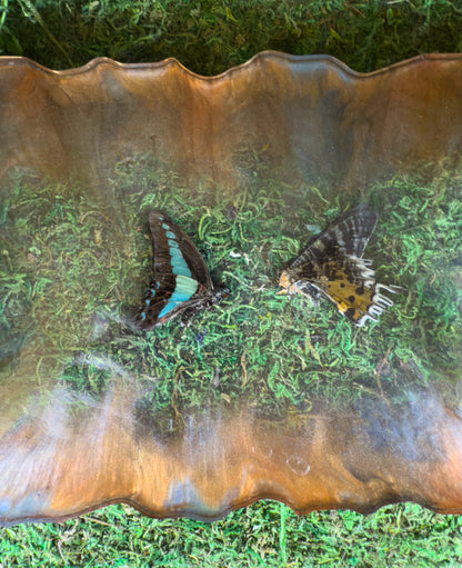Jaw Bone Tray