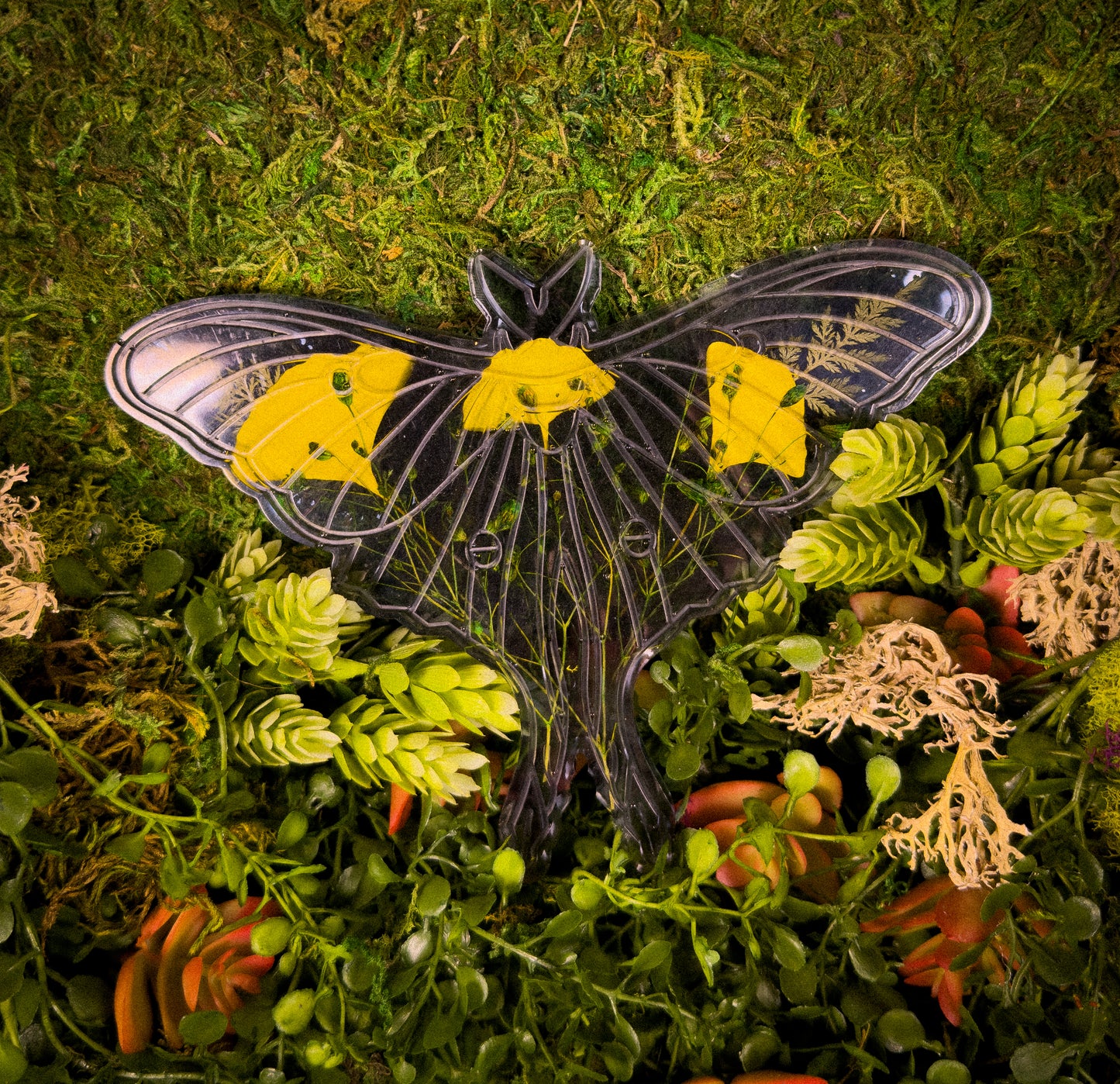 Moth Art Piece